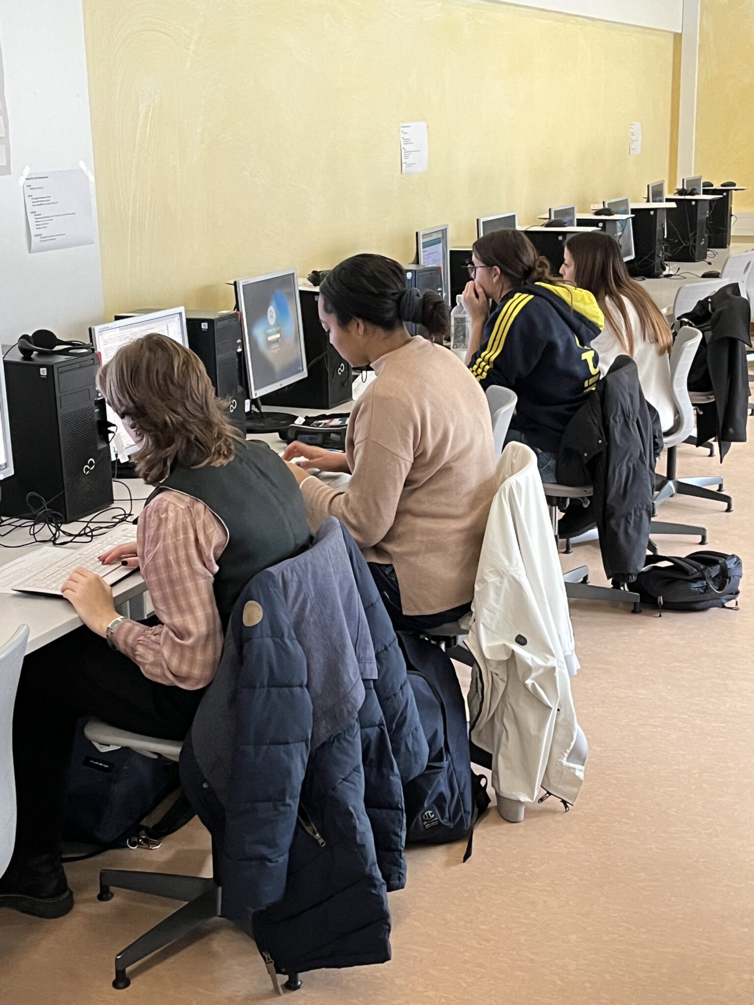 EUweiter Wettbewerb am FEG FriedrichEbertGymnasium Bonn
